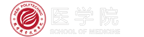 2026美加墨世界杯
